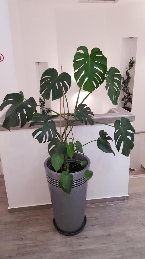 Centar Vodice Apartmani المظهر الخارجي الصورة